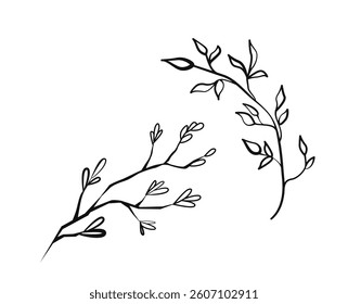 Two delicate botanical twig designs with small leaves in a minimalist hand-drawn style on a white background. Concept of nature and simplicity. Vector illustration