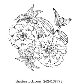 Two delicate flowers with tradescantia branches black and white vector illustration. Elegant monochrome botanical artwork perfect for wedding stationery, logo designs, organic product packaging.