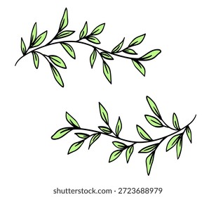 two delicate twigs on a white background,