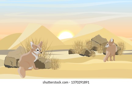 Two deserted fox fennec on the sand. Wildlife of North Africa. Large desert with sand dunes, dry grass and stones. Sahara Desert. Realistic Vector Landscape