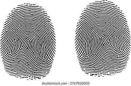 Two detailed fingerprint patterns displayed side by side in black and white. Vector