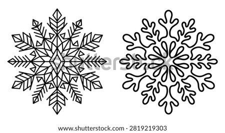 Two detailed snowflake illustrations are presented as black line drawings on a white background. The designs feature symmetrical, radial patterns and intricate details.
