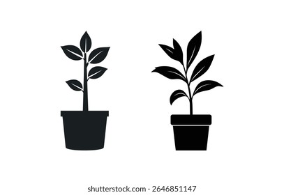 Two different black vector potted plant icons are displayed on a white background. Each plant has unique leaf shapes and pot designs in a minimalist style.