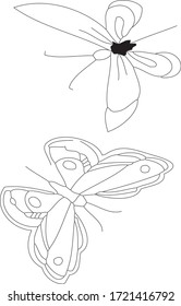 Two different butterflies, one above the other. Black outline on a white background