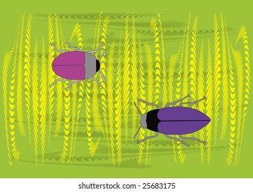 two different color bugs in wheat, vector illustration