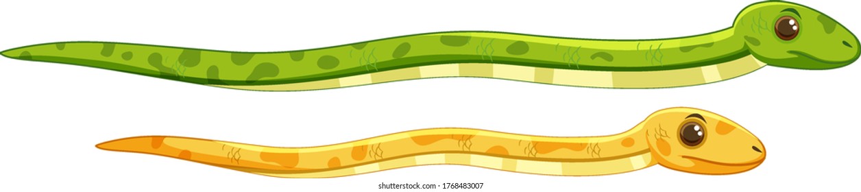 Two Different Cute Snake Isolated On White Baclground Illustration