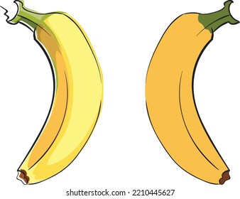 two different types of yellow bananas