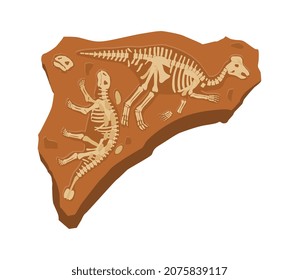 Two dinosaurs skeletons. Paleontology, archeology, ancient, bones. Couple T Rex. Graphic erlement for website, picture fot print on clothes, prehistoric, bc, era. Cartoon flat vector illustration