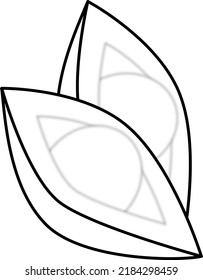 Two disclosed avocado, one behind another