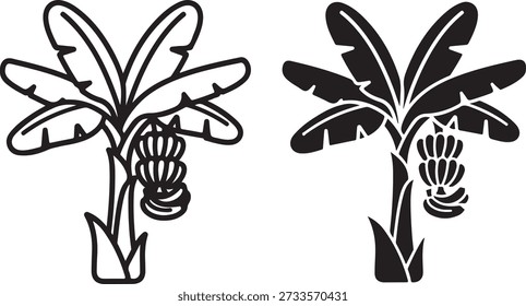 Two distinct types banana tree of tropical plants with unique leaf structures and fruit. isolated on white background, illustration