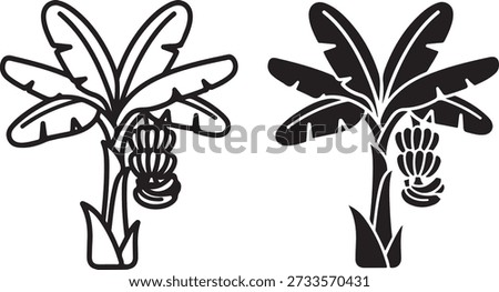 Two distinct types banana tree of tropical plants with unique leaf structures and fruit. isolated on white background, illustration