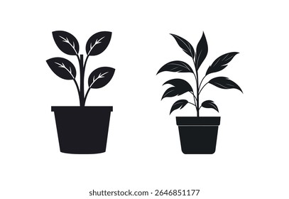 Two distinct vector icons showing silhouetted potted plants, each displaying unique leaf arrangements and planter shapes. Solid black design against a white backdrop.