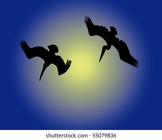 Two diving pelicans on a dark blue background