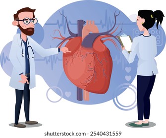 dois médicos estudando a estrutura do coração humano. Veias e vênulas cardíacas.