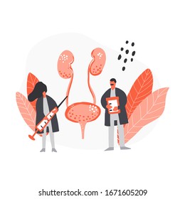 Two doctors treat bladder and kidneys. Medical illustration. Urology health check banner template