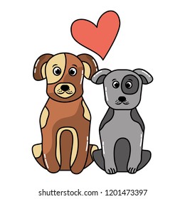 two dog sitting domestic pet love