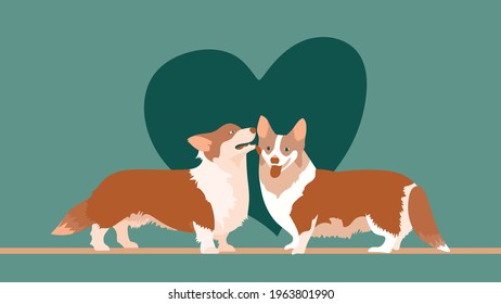 Two dogs, corgi. Kiss, heart. Funny picture. Valentine's day card. Declaration of love. Pets. Vector flat illustration.