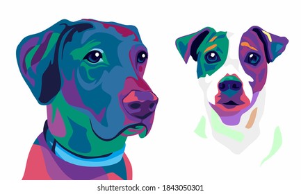 two dogs in front on isolated white background