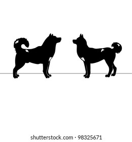 Two dogs love silhouettes