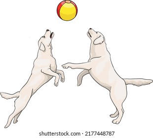 Dos perros jugando un balón en la playa. Waterpolo, competencia de equipo, perro de ilustración vectorial