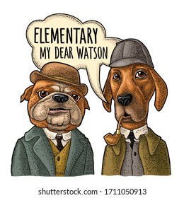 Two dogs in Sherlock Holmes and Dr. Watson appearance. Vector color engraving vintage illustrations isolated on white. Hand drawn design element for poster. Handwriting lettering elementary my dear