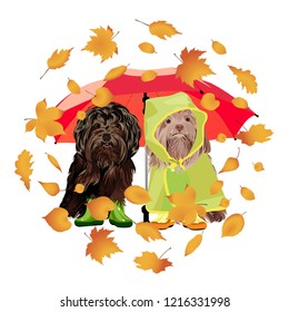 Two dogs sitting under an umbrella. Vector illustration.