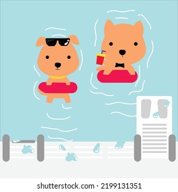 two dogs swimming in the pool