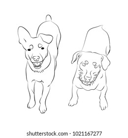 Two dogs a top view of the contour on a white background