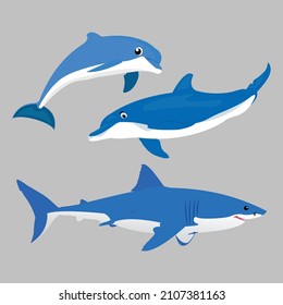 Two Dolphin and One Shark Three in One Isolate Vector Fishes