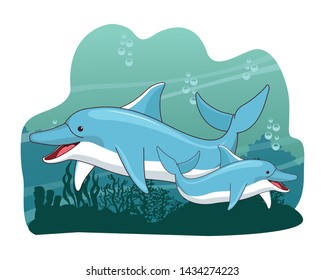 two dolphin swimming together icon cartoon at the bottom of the sea with underwater vegatation vector illustration graphic design