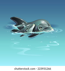 Two dolphins