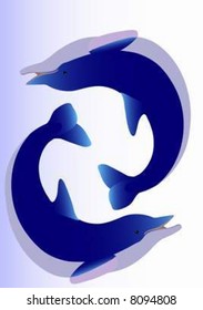 two dolphins