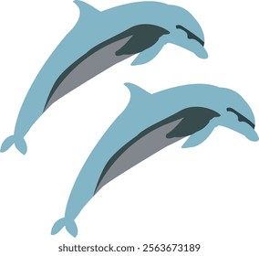 two dolphins in action in the sea