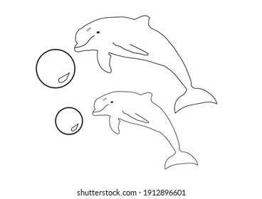 Two dolphins jumping on the ball