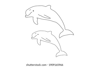 Two dolphins jumping on a white background