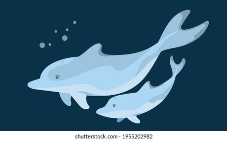 Two dolphins, a parent and a child swim underwater while in motion. A graphic element of summer or marine design. Vector illustration in cartoon style. Isolated object on a dark background.