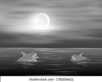 Two dolphins swim in the water in the moonlight