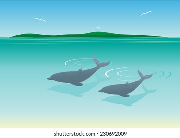 Two dolphins in water and the island against the sky