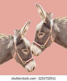 Two donkey profiles, pink background