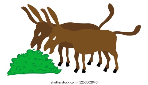 Two donkeys eating grass