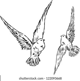 Dove Sketch Images, Stock Photos & Vectors | Shutterstock