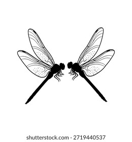 Two dragonflies facing each other with intricate wing patterns