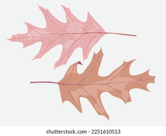 Two dry autumn leaves on bright background