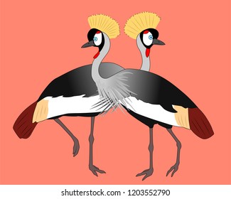 Two dstanding grey crowned cranes, vector illustration