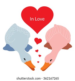 two ducks in love, vector illustration isolated on white background