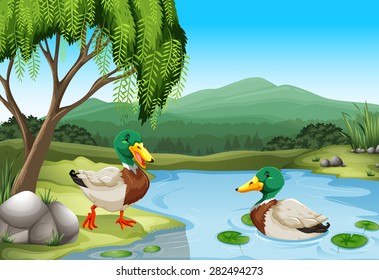 Two ducks relaxing by the pond