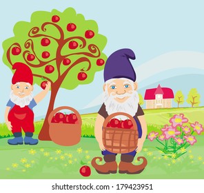 two dwarfs and apple tree
