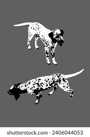 Two dynamic poses of a Dalmatian dog vector illustration. Perfectly suited for vibrant and fashionable t-shirt and hoodie prints. A stylish vector artwork showcasing dalmatian charm.
