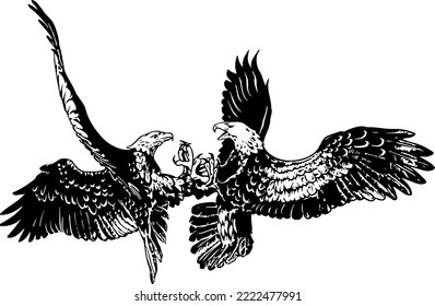 Two Eagles Fighting Vector Illustration