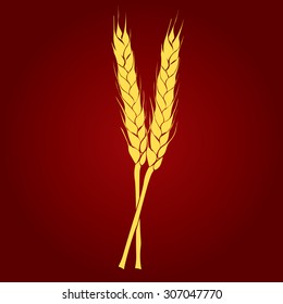 Two ears of wheat. Hand drawn vector illustration. 